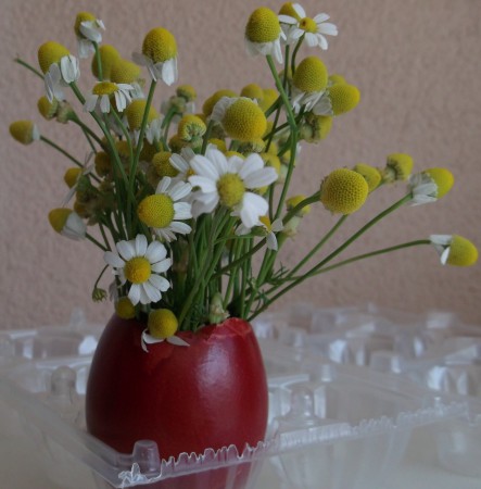 Στοιχείο Διακόσμησης: Αυγοβάζο με χαμομήλι