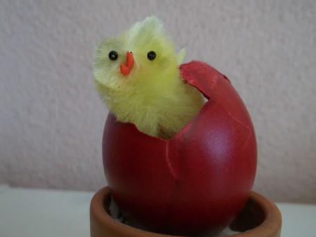 Αυγό σε ρόλο ... αυγού!