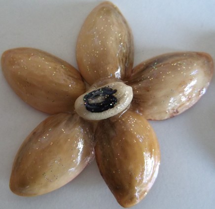 Λουλουδάκι από κελύφη φιστικιών Αιγίνης...